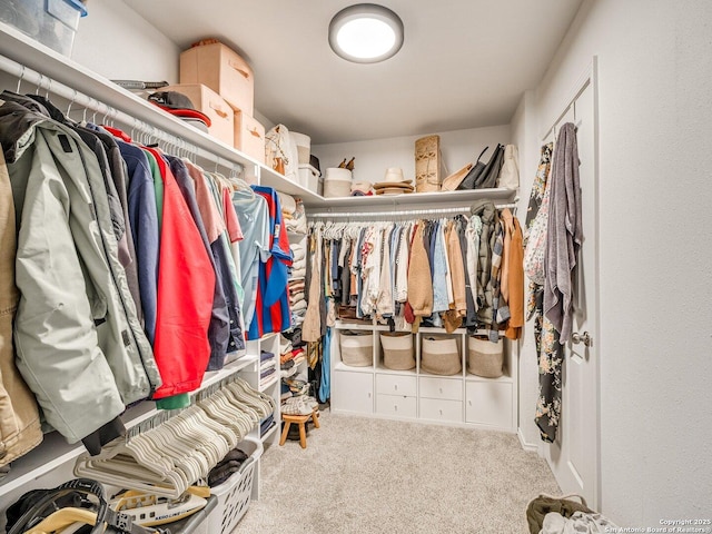 walk in closet featuring carpet