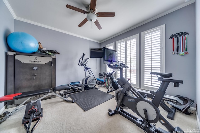 workout area with a ceiling fan, ornamental molding, and carpet flooring