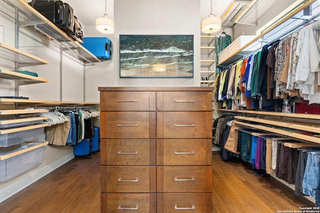 walk in closet with dark wood-style flooring