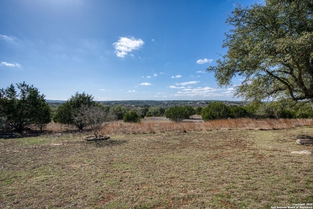 view of yard with a rural view