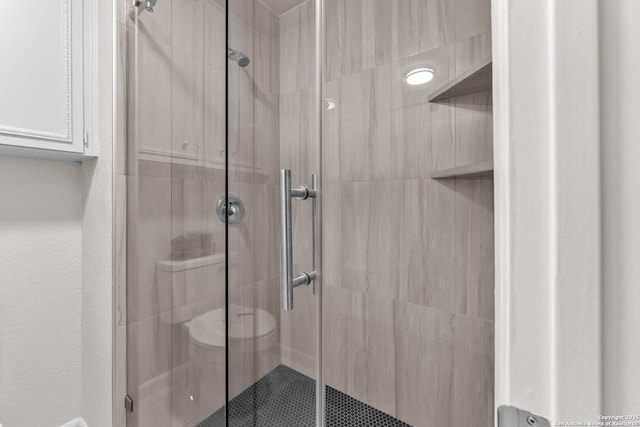 bathroom with a stall shower and toilet