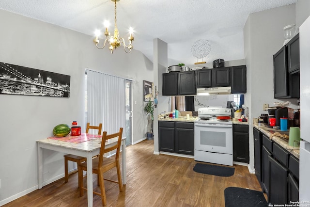 kitchen with dark cabinets, dark wood finished floors, white electric range oven, and under cabinet range hood