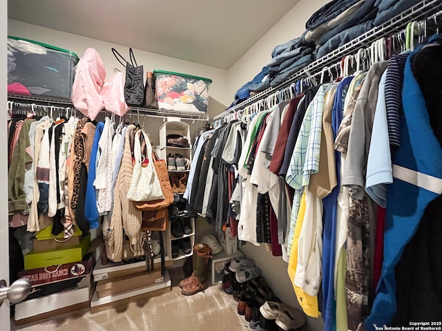 view of spacious closet