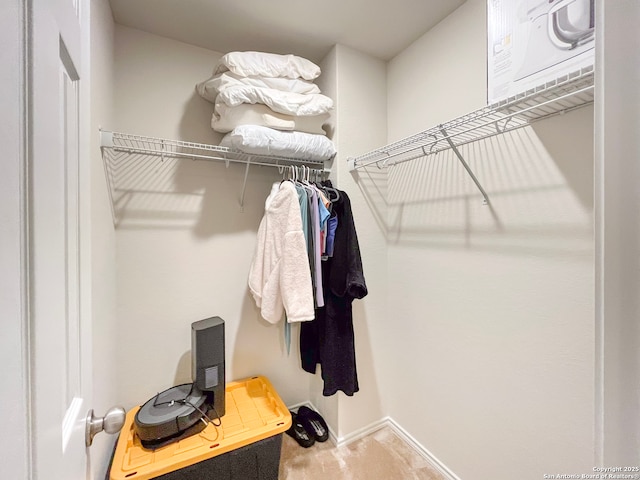 view of spacious closet