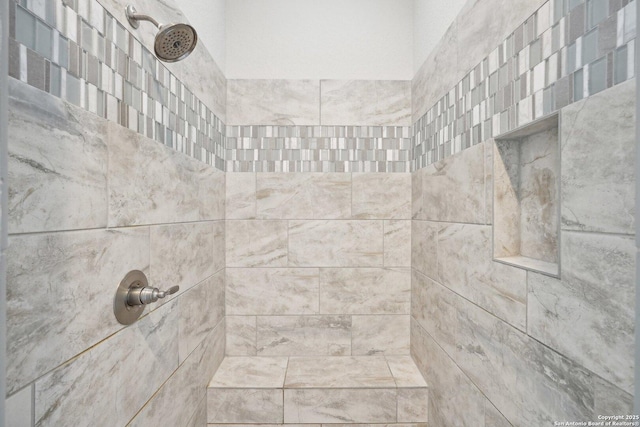 room details with a tile shower