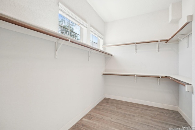 spacious closet featuring light wood-style floors