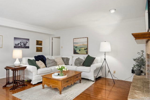 living area featuring ornamental molding, baseboards, and wood finished floors