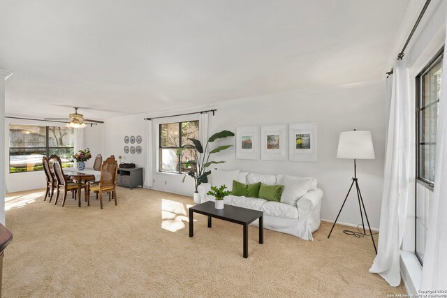 living area featuring light carpet, ceiling fan, and ornamental molding