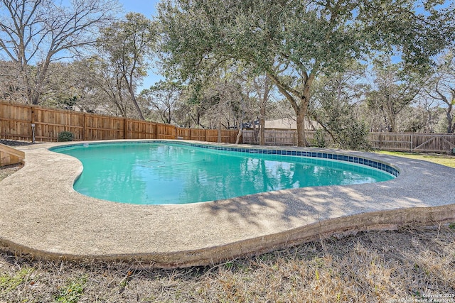 view of pool with a fenced backyard and a fenced in pool