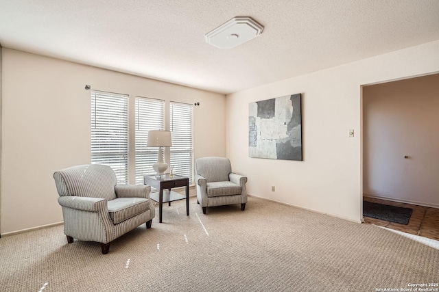 living area with carpet, baseboards, and a textured ceiling