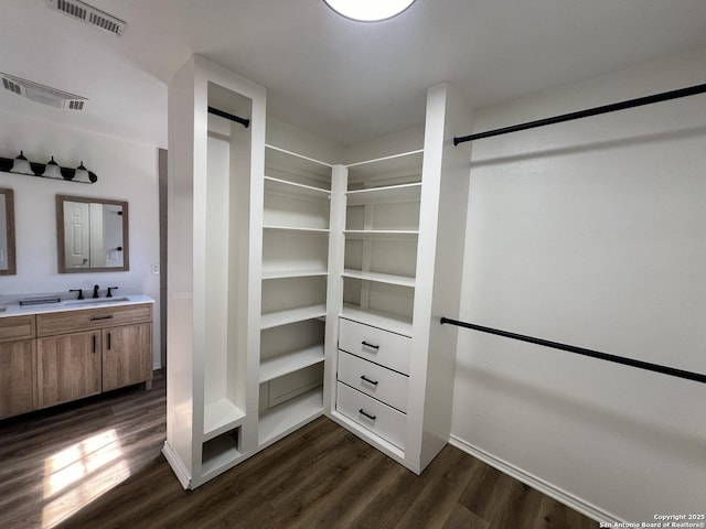 spacious closet with dark wood-style floors, visible vents, and a sink