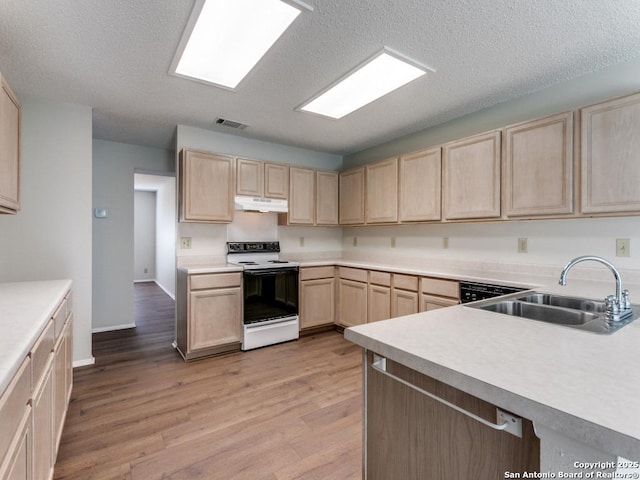 kitchen featuring range with electric stovetop, light countertops, light brown cabinetry, a sink, and under cabinet range hood