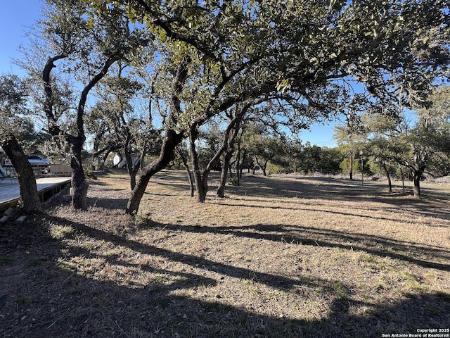 view of yard featuring a rural view