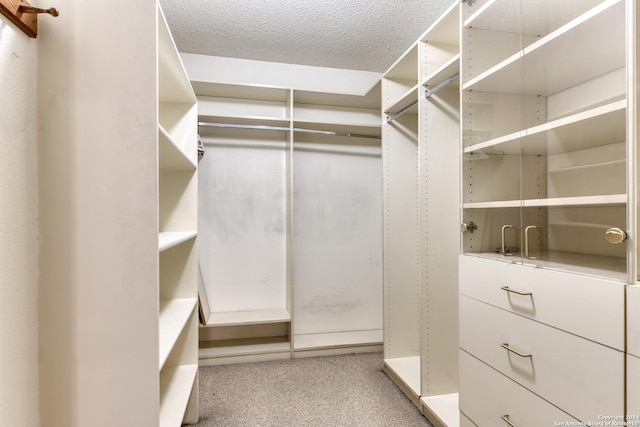 walk in closet featuring carpet floors