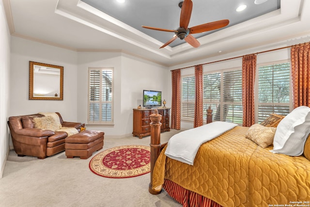 bedroom featuring a raised ceiling and multiple windows