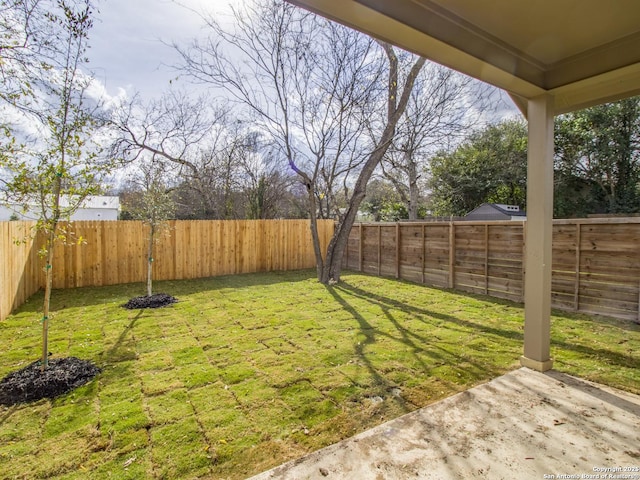 view of yard with a fenced backyard and a patio