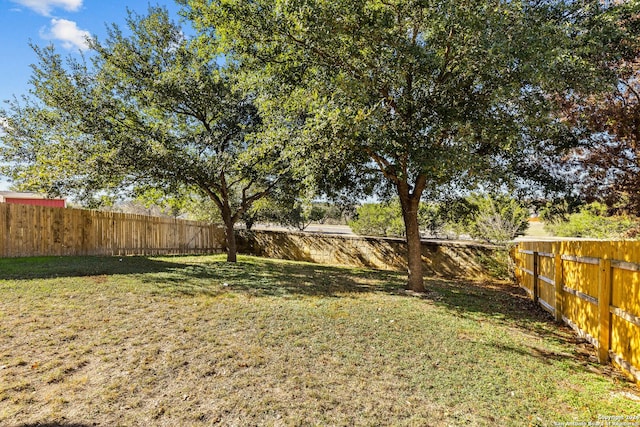 view of yard featuring a fenced backyard