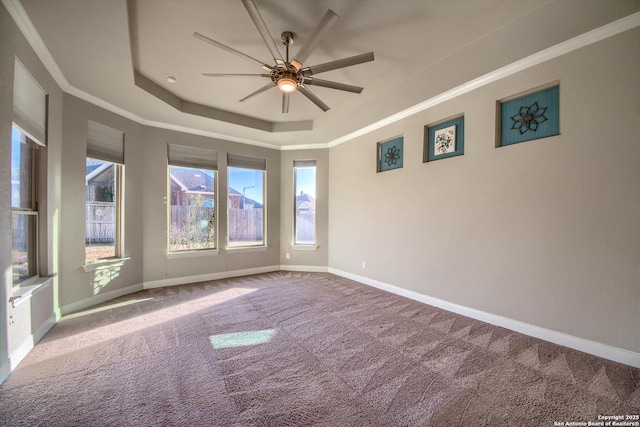 carpeted spare room featuring ceiling fan, baseboards, a raised ceiling, and crown molding