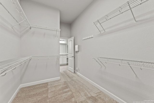 spacious closet with light colored carpet