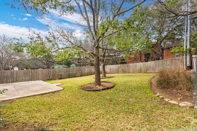 view of yard featuring a fenced backyard and a patio