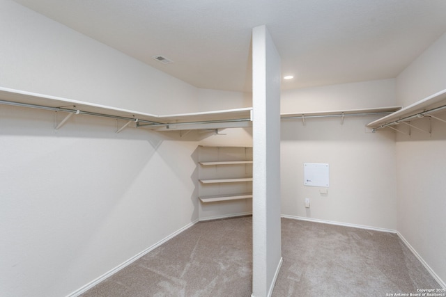 walk in closet featuring carpet flooring