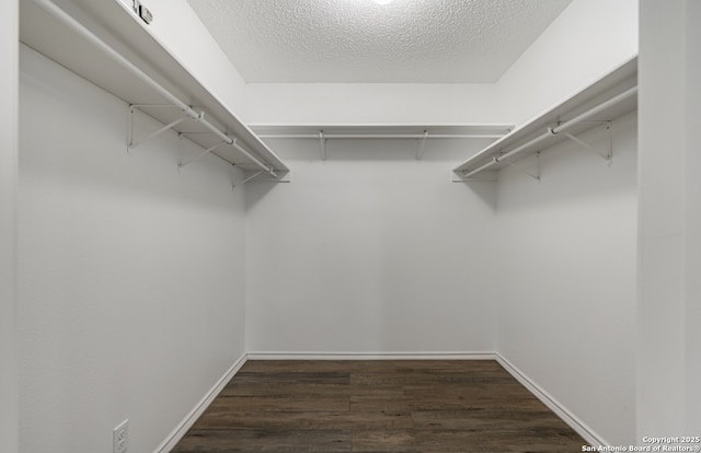 spacious closet featuring dark wood-type flooring