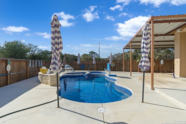 view of pool featuring a fenced in pool, a fenced backyard, and a patio