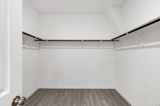 walk in closet with wood finished floors