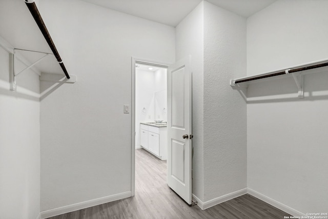 spacious closet featuring wood finished floors