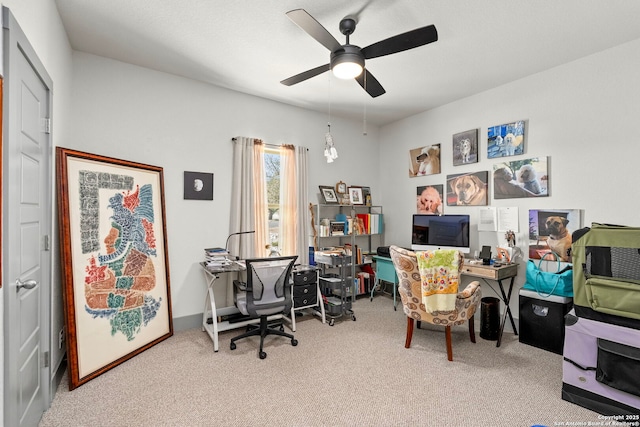 carpeted office with ceiling fan and baseboards