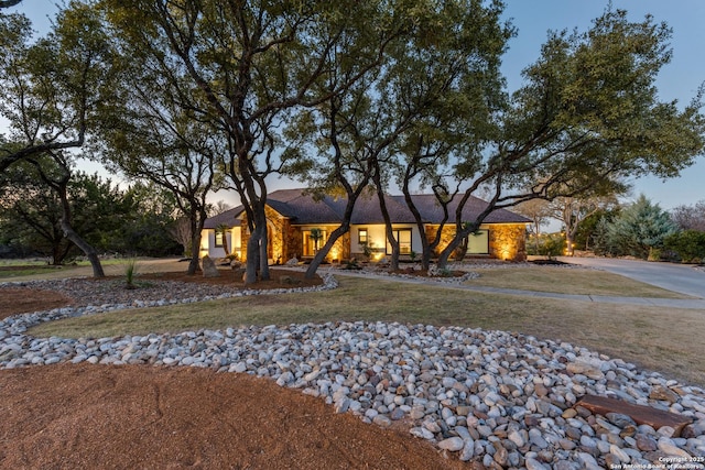 view of front of house featuring driveway and a front lawn