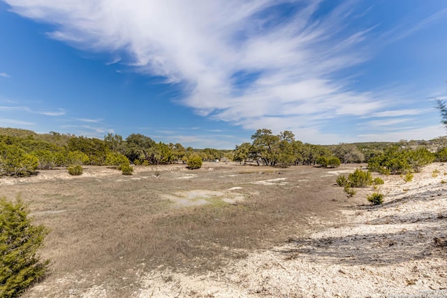 view of local wilderness