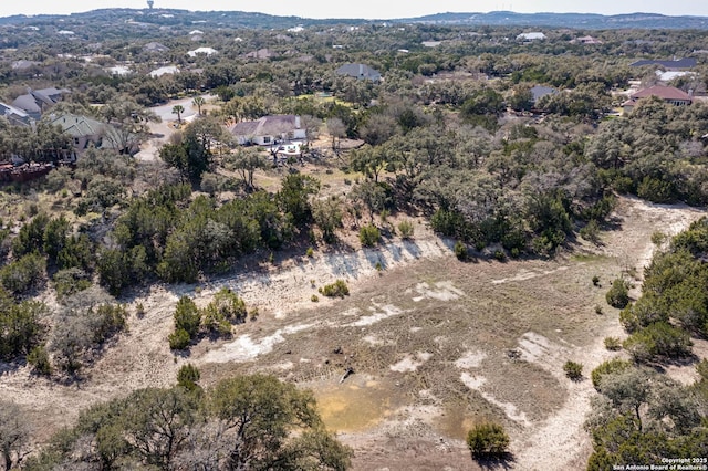 bird's eye view