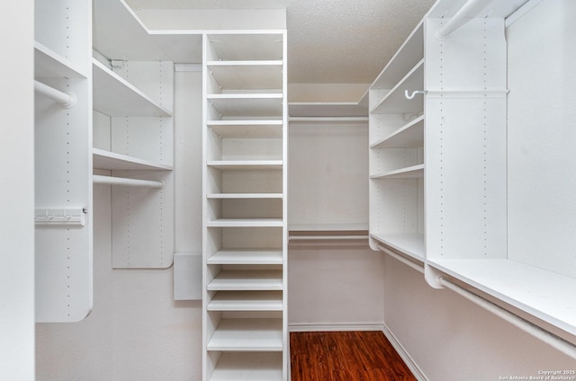 walk in closet with wood finished floors