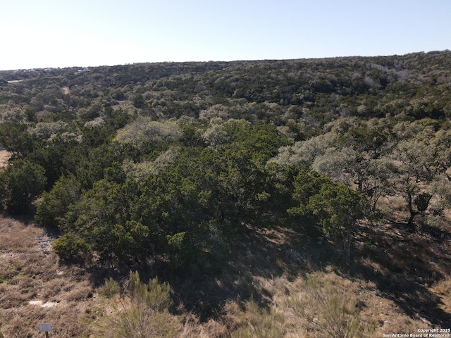 Listing photo 2 for 1325 Powder Rdg, New Braunfels TX 78132