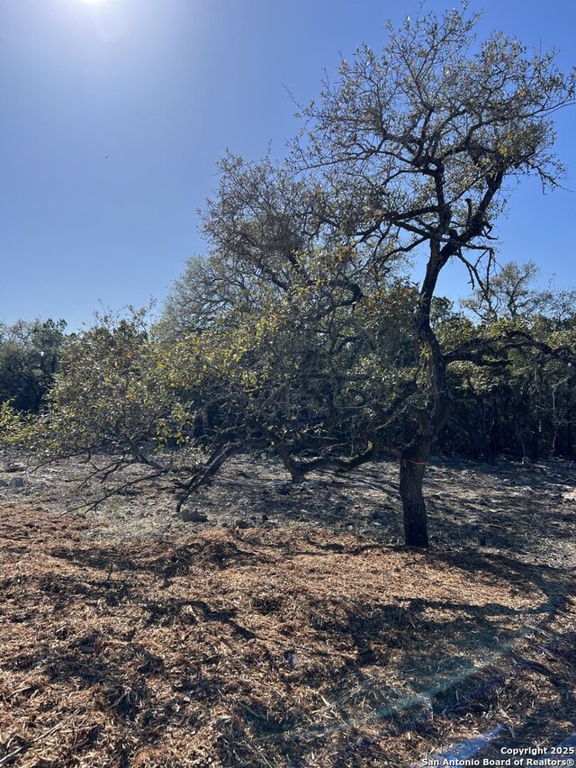 1325 Powder Rdg, New Braunfels, TX 78132