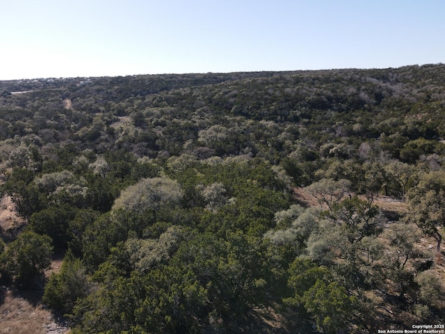 Listing photo 3 for 1325 Powder Rdg, New Braunfels TX 78132