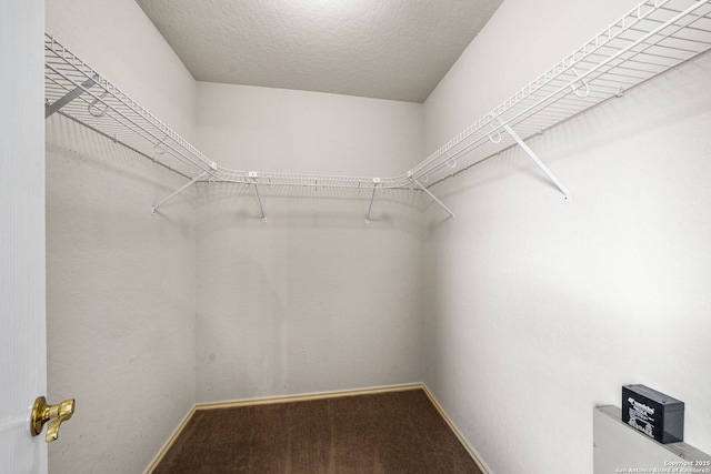 walk in closet featuring carpet flooring