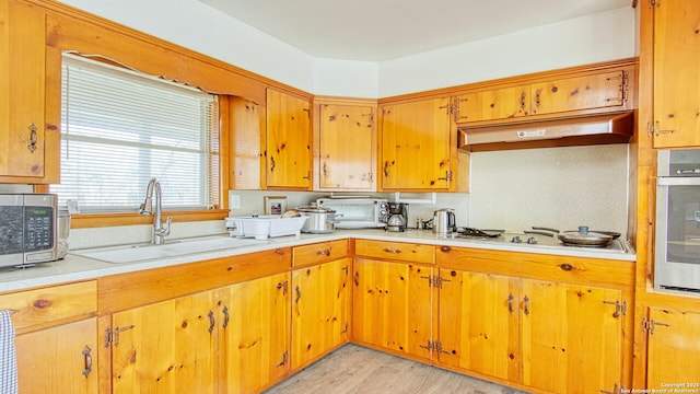 kitchen with under cabinet range hood, stainless steel appliances, a sink, light wood-style floors, and light countertops