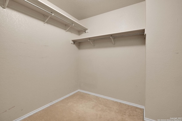 walk in closet with light carpet