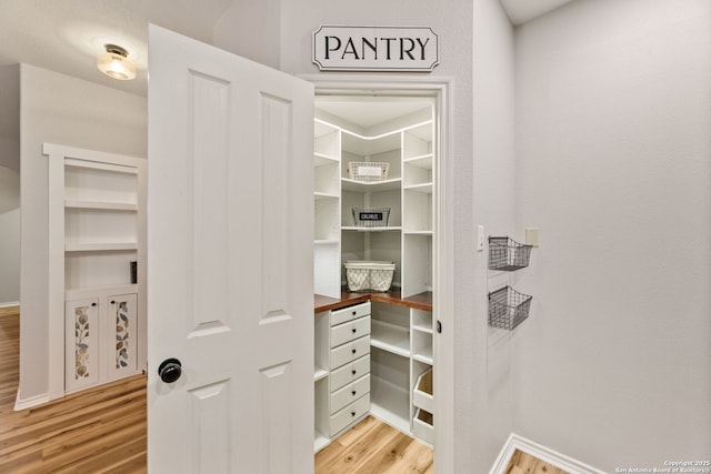 spacious closet with light wood finished floors