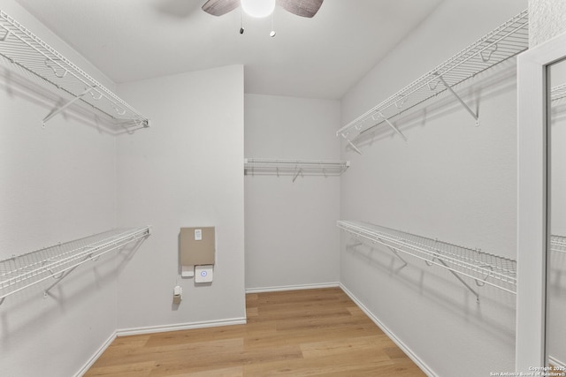 spacious closet with wood finished floors and a ceiling fan