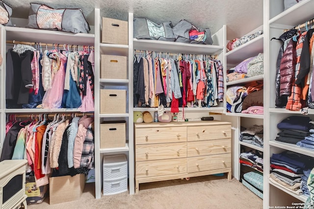 walk in closet featuring carpet flooring