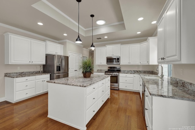 948 Hudson, New Braunfels, TX 78130 - kitchen featuring stainless steel appliances, a tray ceiling, a center island, and hardwood / wood-style floors