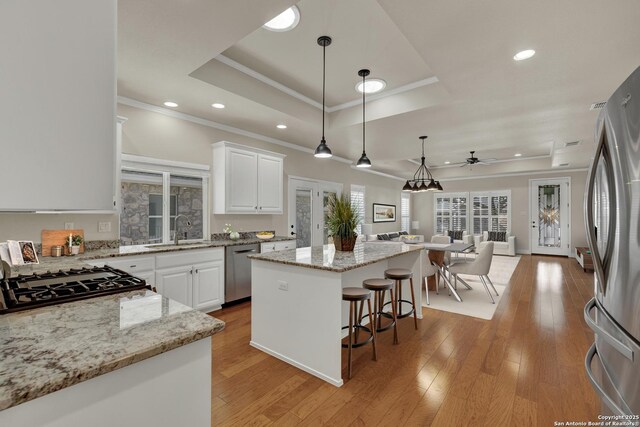 948 Hudson, New Braunfels, TX 78130 - kitchen with a sink, open floor plan, light wood finished floors, appliances with stainless steel finishes, and a tray ceiling