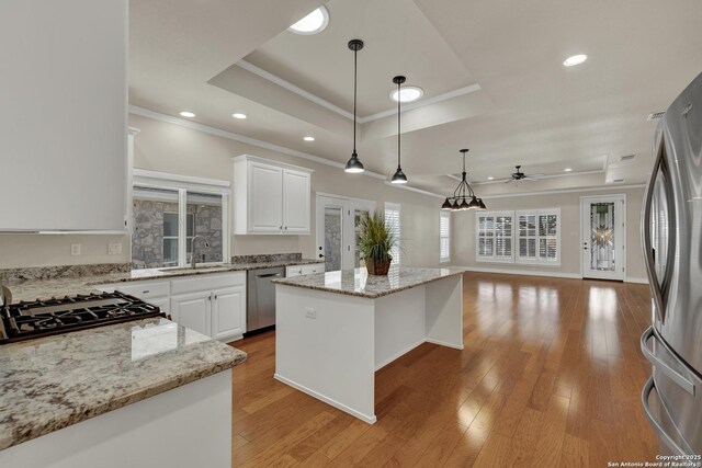 948 Hudson, New Braunfels, TX 78130 - kitchen featuring light wood-type flooring, stainless steel appliances, a raised ceiling, and a sink