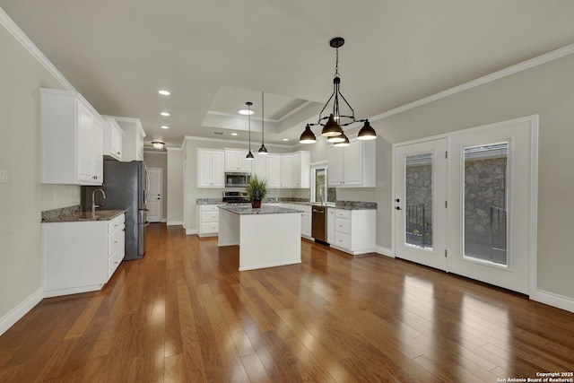 948 Hudson, New Braunfels, TX 78130 - kitchen featuring stainless steel appliances, a tray ceiling, a center island, and dark wood-style floors