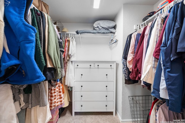 spacious closet with carpet