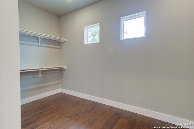 walk in closet with dark wood-type flooring