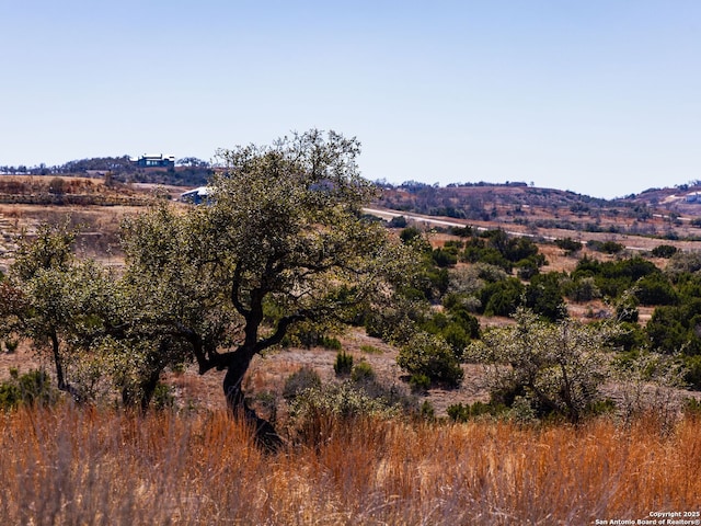 Listing photo 3 for 717 N Scenic Hls, Blanco TX 78606